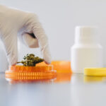 Medizinische Cannabis Indica in der Vita Apotheke